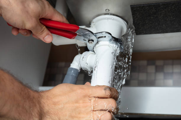 Best Water damage contractors near me  in Waihee Waiehu, HI