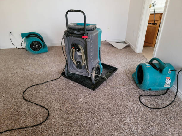 Best Flood restoration services  in Waihee Waiehu, HI