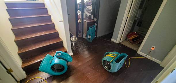 Best Water damage restoration company  in Waihee Waiehu, HI