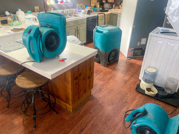 Best Mold removal after water damage  in Waihee Waiehu, HI