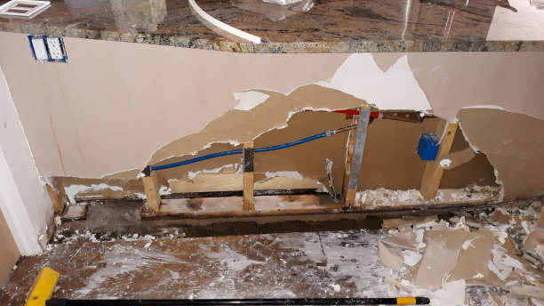 Best Professional water damage repair  in Waihee Waiehu, HI