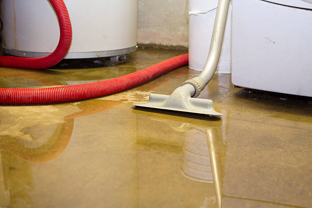 Best Flooded house restoration  in Waihee Waiehu, HI