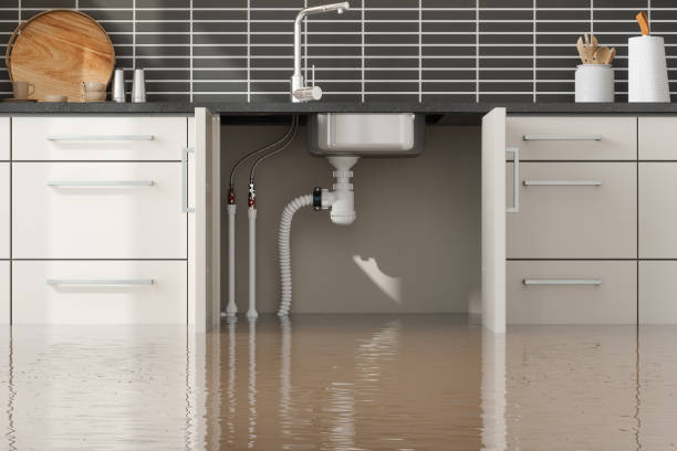 , HI Water damage restoration Company